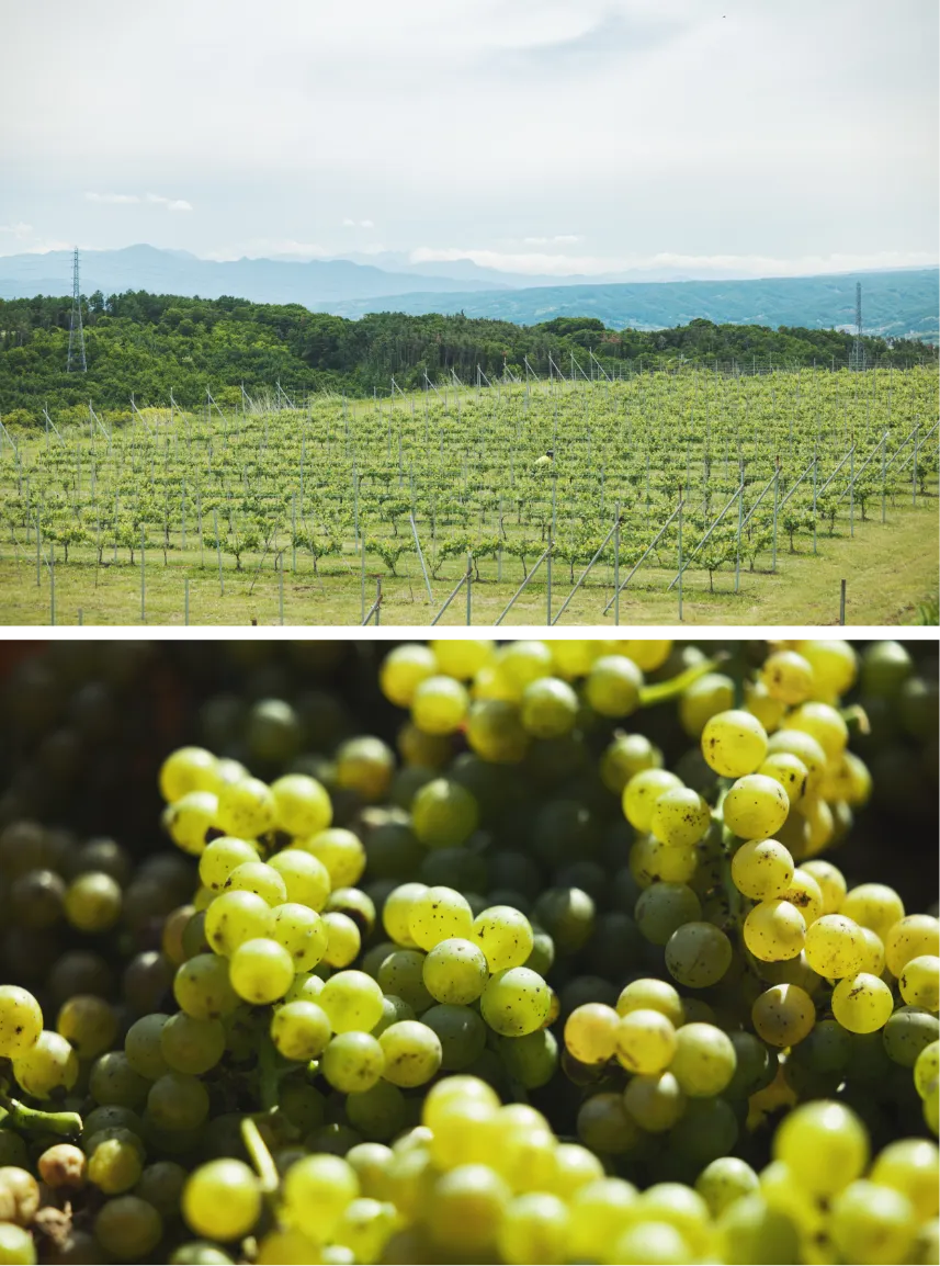 dinningイメージ01