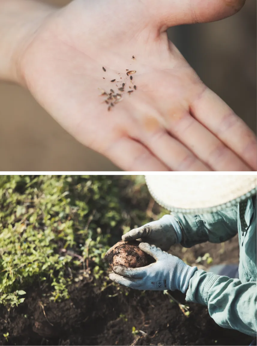 dinningイメージ02