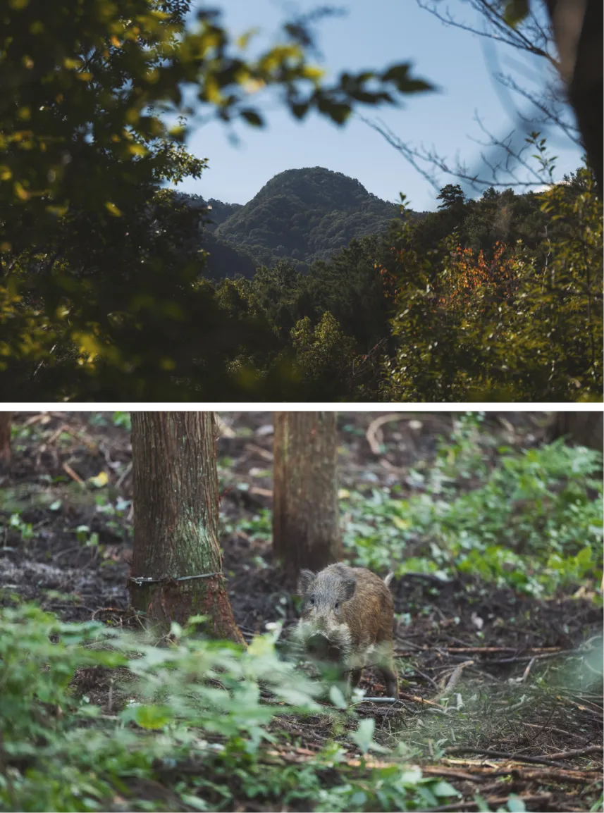 dinningイメージ03