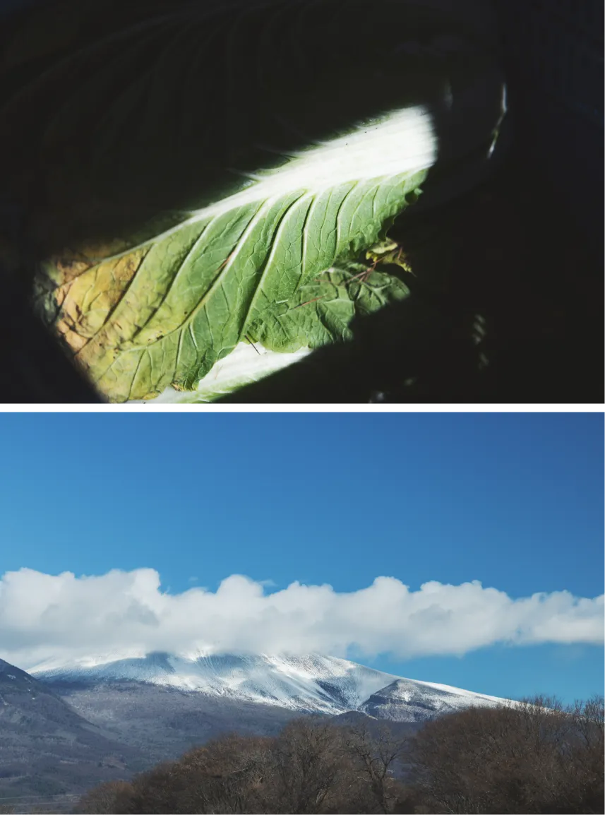 dinningイメージ04