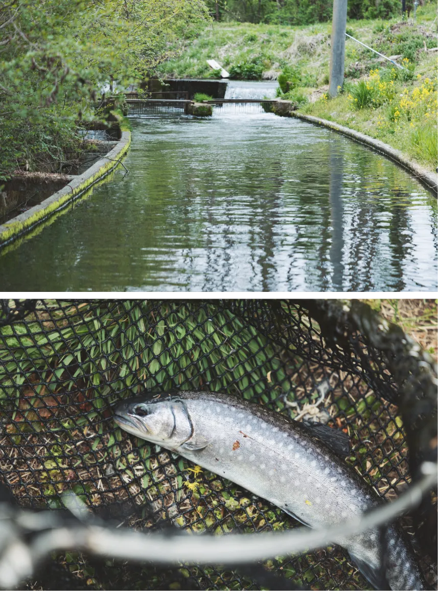 dinningイメージ05