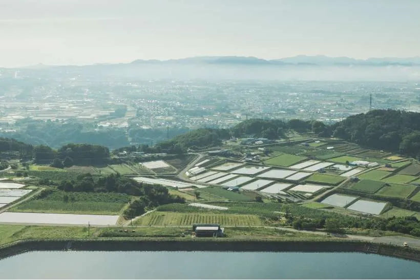 いのちと営みの歌が聞こえる イメージ01